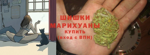 стафф Дмитров