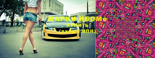 стафф Дмитров