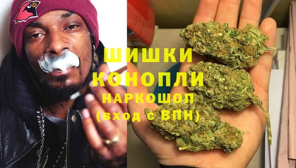крисы Дмитриев