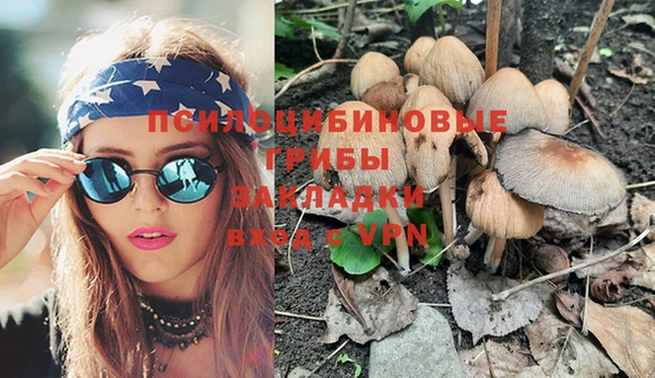 крисы Ельня