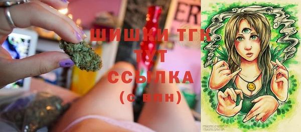 трава Магас