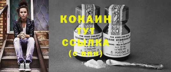 стафф Дмитров