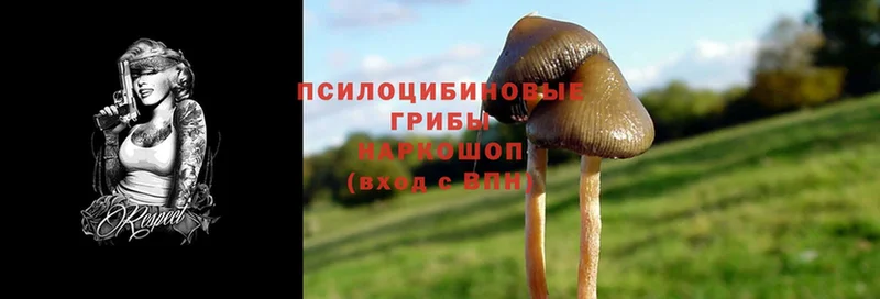 Псилоцибиновые грибы MAGIC MUSHROOMS  Заозёрный 